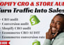 do shopify cro store audit with optimizzation to boost shopify store sales